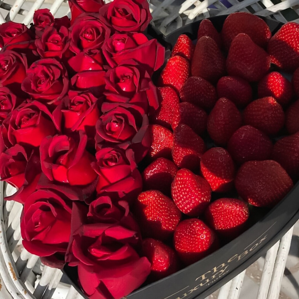 Free Gift On Order $100+ ❤️